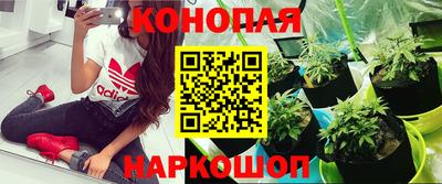 mdpv Заводоуковск
