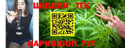 mdpv Заводоуковск