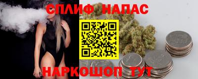 mdpv Заводоуковск