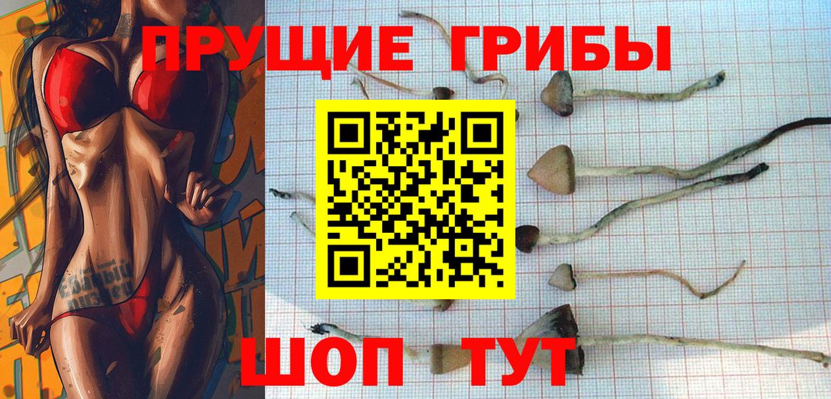 Галлюциногенные грибы Psilocybe Набережные Челны